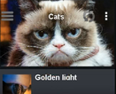 Cats in Toolbars