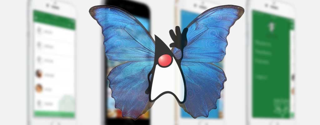 SEO, Gallery, Performance, JavaScript & Gradle
